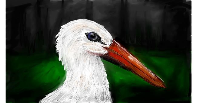 Drawing of Stork by Mia