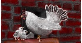 Drawing of Chicken by Mea