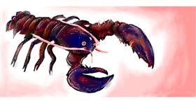Drawing of Lobster by Robin