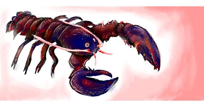 Drawing of Lobster by Robin