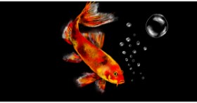 Drawing of Goldfish by Eclat de Lune