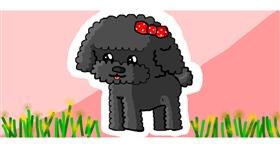 Drawing of Poodle by Carolina15