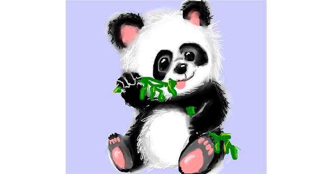 Drawing of Panda by Dexl