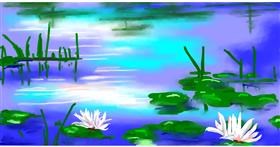 Drawing of Water lily by Swimmer