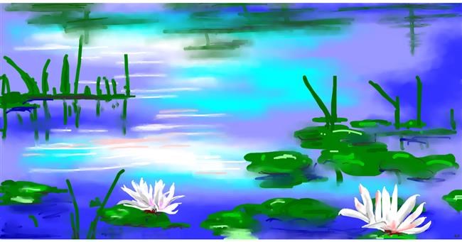 Drawing of Water lily by Swimmer