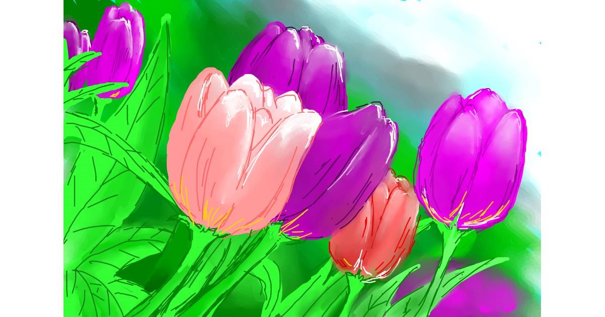 Drawing of Tulips by Kalina