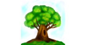 Drawing of Tree by Lou