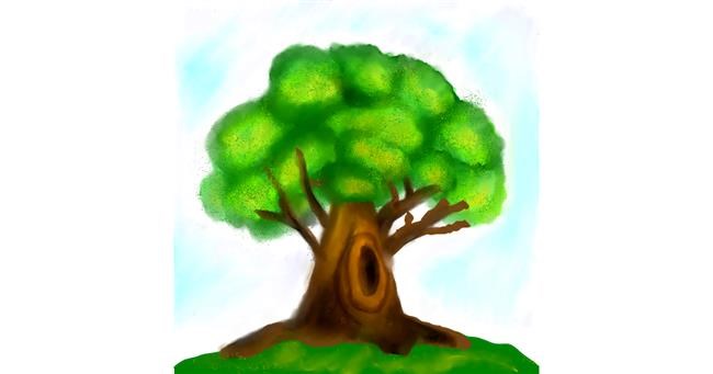 Drawing of Tree by Lou