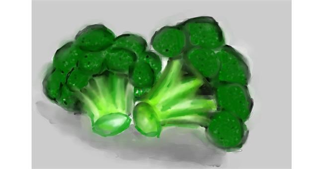 Drawing of Broccoli by Unknown