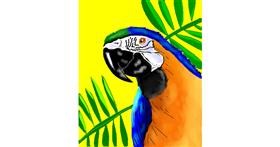 Drawing of Parrot by jule