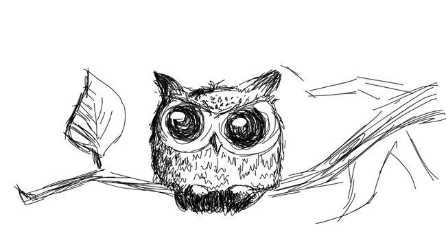 Drawing of Owl by Kossara