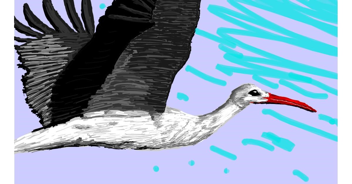 Drawing of Stork by Sam
