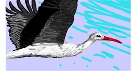 Drawing of Stork by Sam