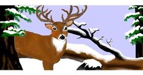 Drawing of Deer by Debidolittle