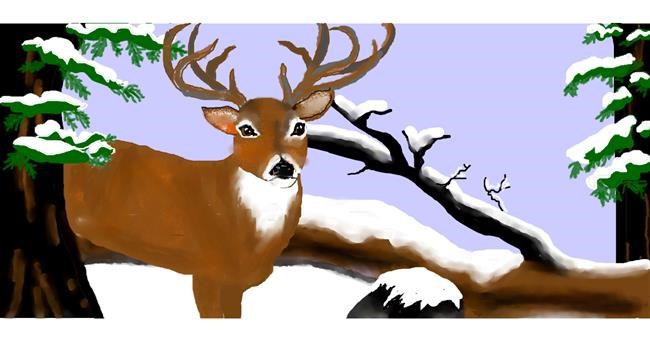 Drawing of Deer by DebbyLee