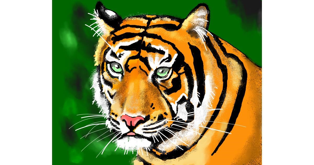 Drawing of Tiger by Cec