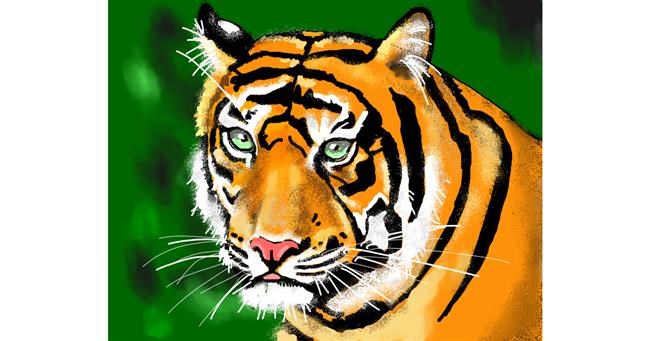 Drawing of Tiger by Cec