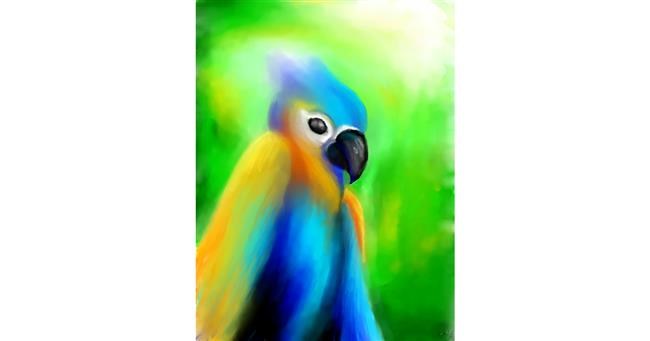 Drawing of Parrot by 🌌Mom💕E🌌