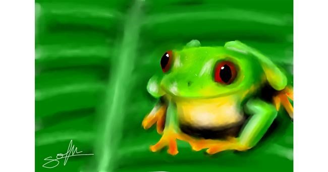 Drawing of Frog by Sophie_draw24