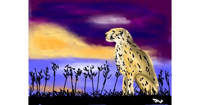 Drawing of Cheetah by Thanivok