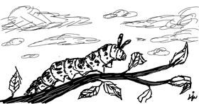 Drawing of Caterpillar by BreadBoi