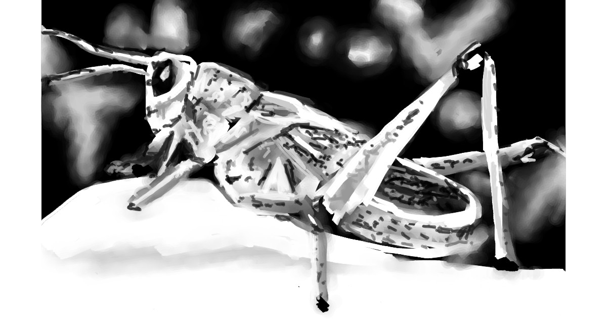 Full Size Drawing