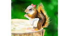 Drawing of Squirrel by Abbie