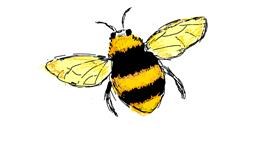 Drawing of Bee by Lsk