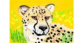 Drawing of Cheetah by Rain