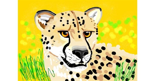 Drawing of Cheetah by Rain