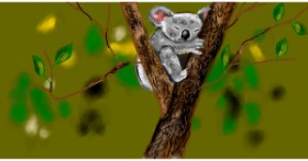 Drawing of Koala by Eclat de Lune