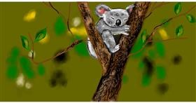 Koala - autor: Eclat de Lune