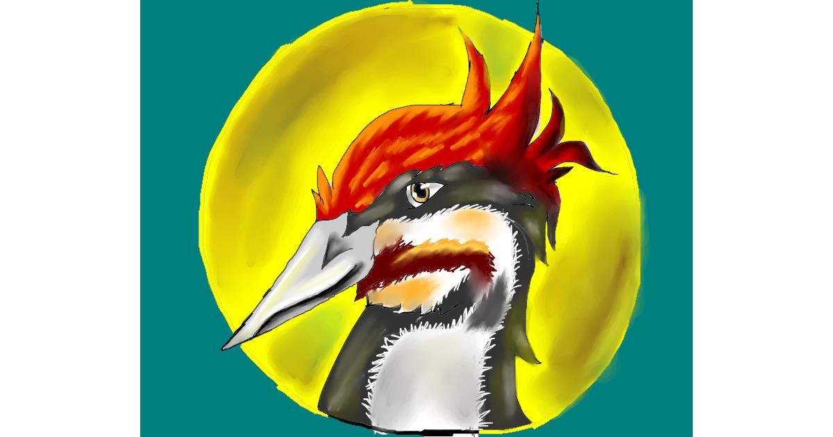 Drawing of Woodpecker by Freny