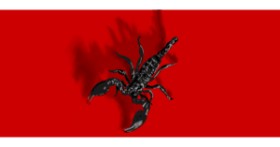 Drawing of Scorpion by Annie