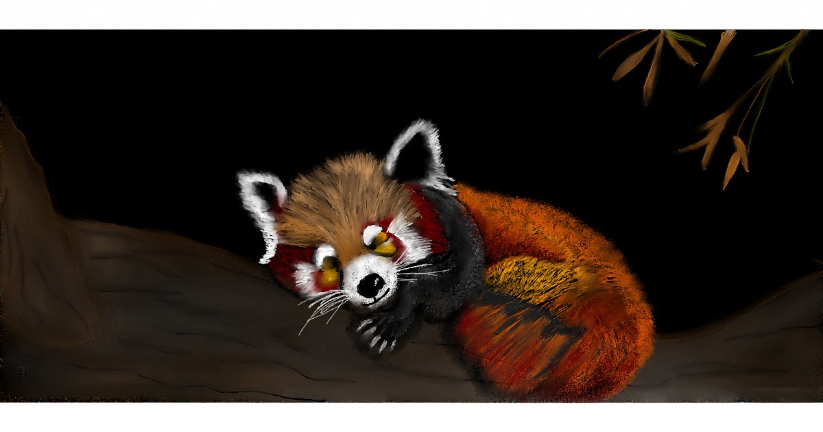Full Size Drawing