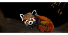 Drawing of Red Panda by Çhåching