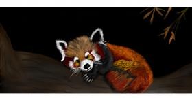 Drawing of Red Panda by Chaching