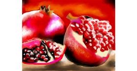 Drawing of Pomegranate by Zi