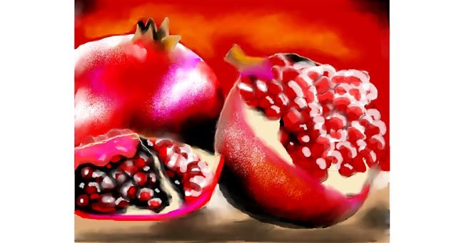 Drawing of Pomegranate by Zi