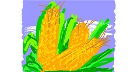 Drawing of Corn by Firsttry