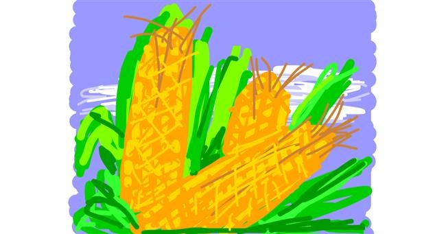 Drawing of Corn by Firsttry
