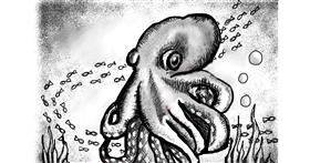 Drawing of Octopus by rooster