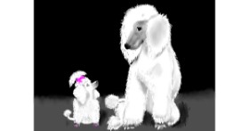 Drawing of Poodle by SAM AKA MARGARET 🙄