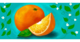 Drawing of Orange by justme❤️