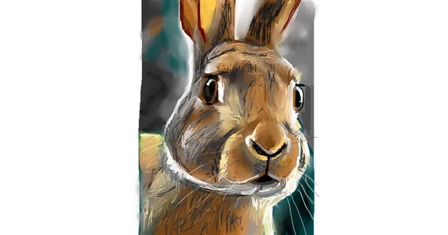 Drawing of Rabbit by Herbert