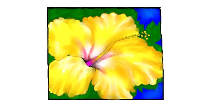 Drawing of Flower by Debidolittle