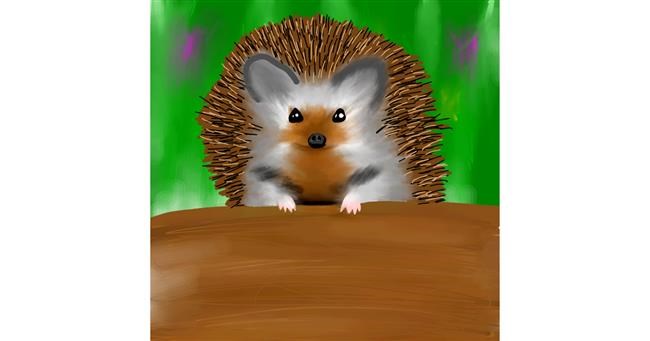 Drawing of Hedgehog by Jinx