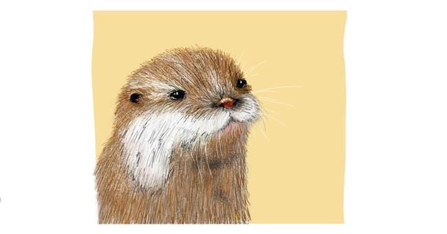 Drawing of Otter by Sara