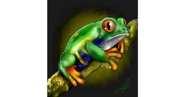 Drawing of Frog by Leah