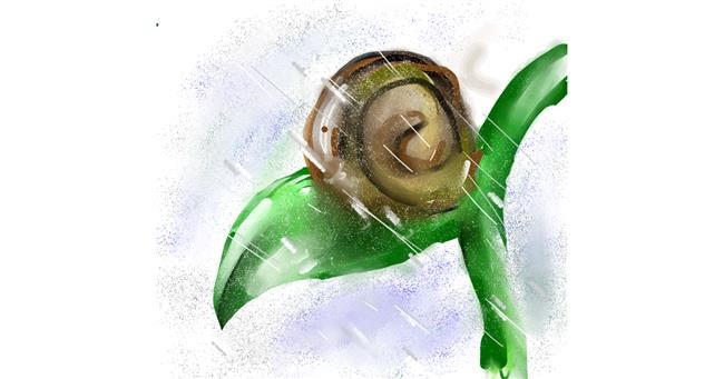 Drawing of Snail by 𝒞𝓊𝓅𝒞𝒶𝓀𝑒